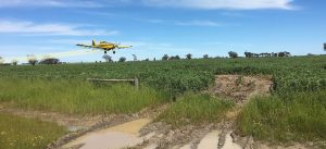 AG Airwork Cropping